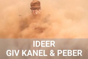 ideer-kanel-peber